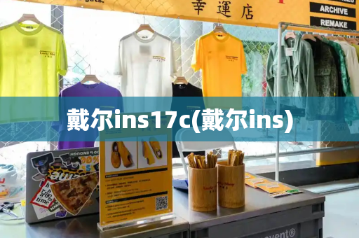 戴尔ins17c(戴尔ins)