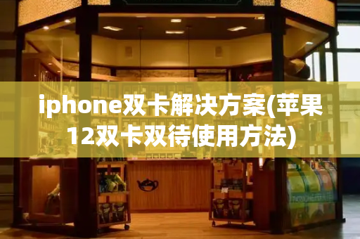 iphone双卡解决方案(苹果12双卡双待使用方法)