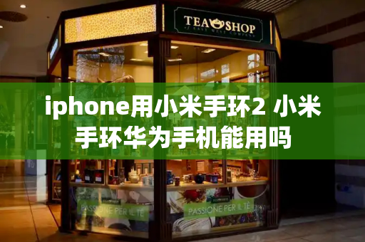 iphone用小米手环2 小米手环华为手机能用吗-第1张图片-星选测评