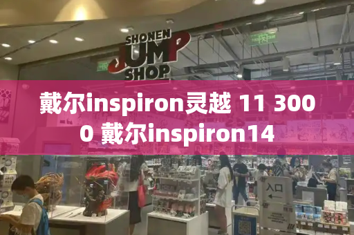 戴尔inspiron灵越 11 3000 戴尔inspiron14