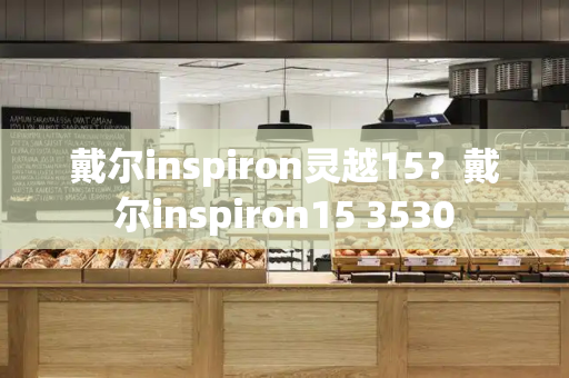 戴尔inspiron灵越15？戴尔inspiron15 3530-第1张图片-星选测评