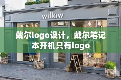 戴尔logo设计，戴尔笔记本开机只有logo