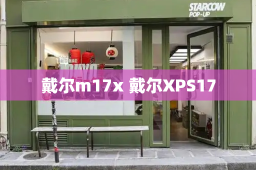 戴尔m17x 戴尔XPS17