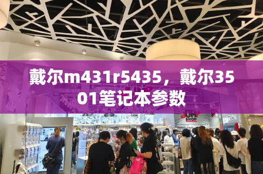 戴尔m431r5435，戴尔3501笔记本参数-第1张图片-星选测评