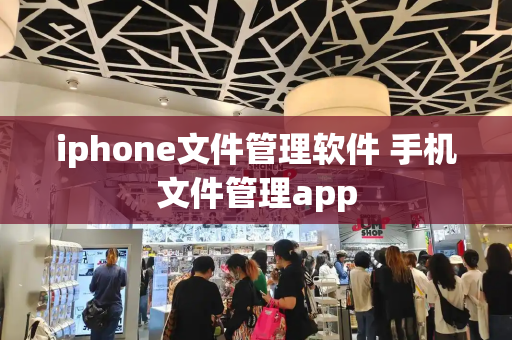 iphone文件管理软件 手机文件管理app