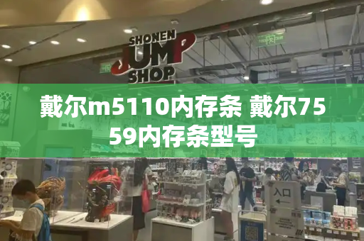 戴尔m5110内存条 戴尔7559内存条型号-第1张图片-星选测评