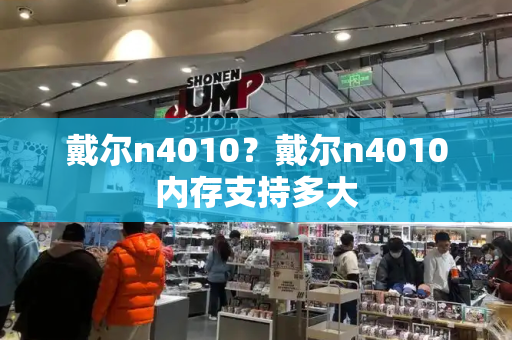 戴尔n4010？戴尔n4010内存支持多大-第1张图片-星选测评