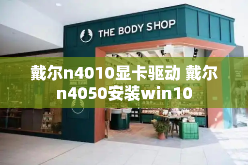 戴尔n4010显卡驱动 戴尔n4050安装win10-第1张图片-星选测评