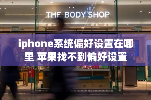 iphone系统偏好设置在哪里 苹果找不到偏好设置