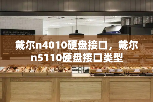 戴尔n4010硬盘接口，戴尔n5110硬盘接口类型-第1张图片-星选测评