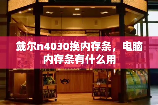 戴尔n4030换内存条，电脑内存条有什么用-第1张图片-星选测评