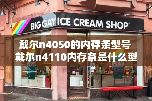 戴尔n4050的内存条型号 戴尔n4110内存条是什么型号-第1张图片-星选测评