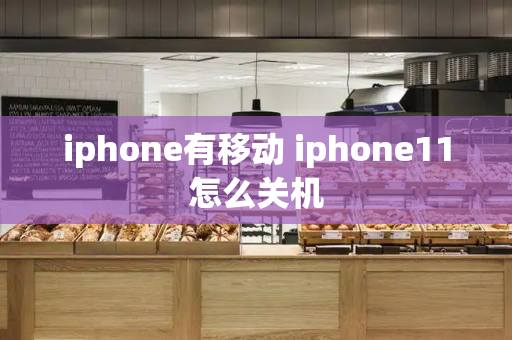 iphone有移动 iphone11怎么关机-第1张图片-星选测评