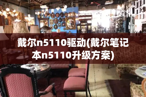 戴尔n5110驱动(戴尔笔记本n5110升级方案)-第1张图片-星选测评