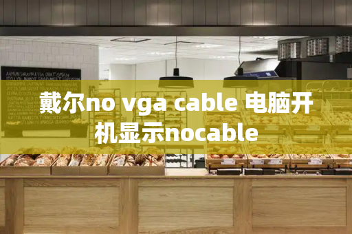 戴尔no vga cable 电脑开机显示nocable-第1张图片-星选测评