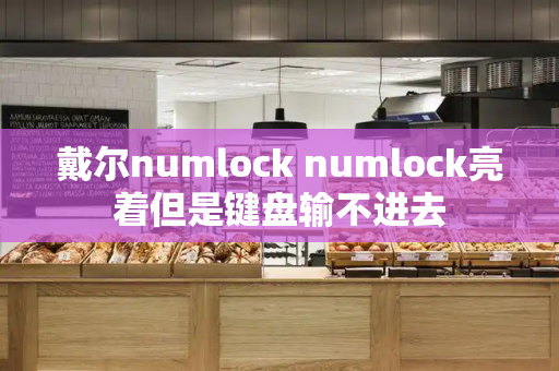 戴尔numlock numlock亮着但是键盘输不进去-第1张图片-星选测评