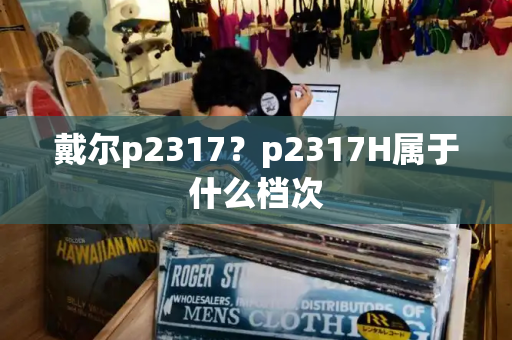 戴尔p2317？p2317H属于什么档次