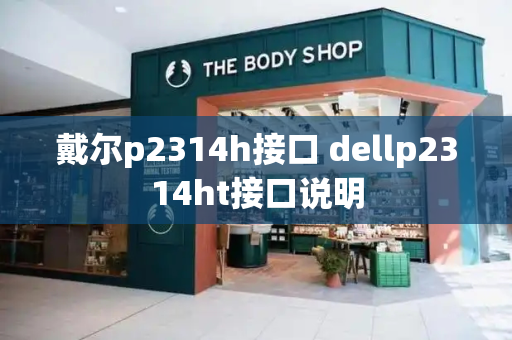 戴尔p2314h接口 dellp2314ht接口说明