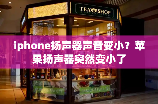 iphone扬声器声音变小？苹果扬声器突然变小了-第1张图片-星选值得买