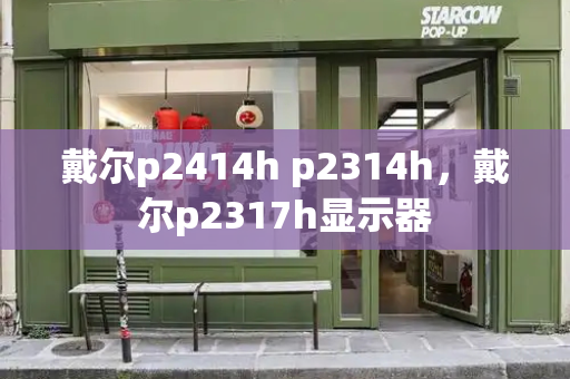 戴尔p2414h p2314h，戴尔p2317h显示器