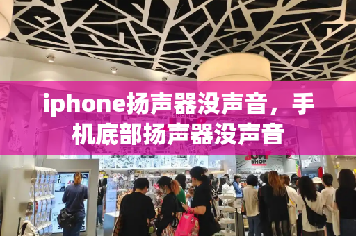 iphone扬声器没声音，手机底部扬声器没声音-第1张图片-星选值得买