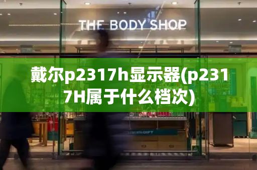 戴尔p2317h显示器(p2317H属于什么档次)-第1张图片-星选测评