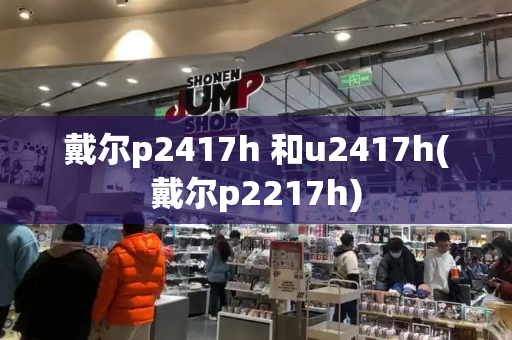 戴尔p2417h 和u2417h(戴尔p2217h)