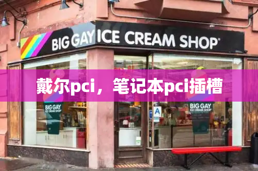 戴尔pci，笔记本pci插槽