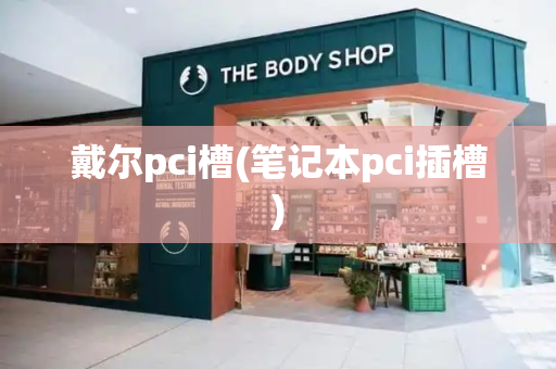 戴尔pci槽(笔记本pci插槽)