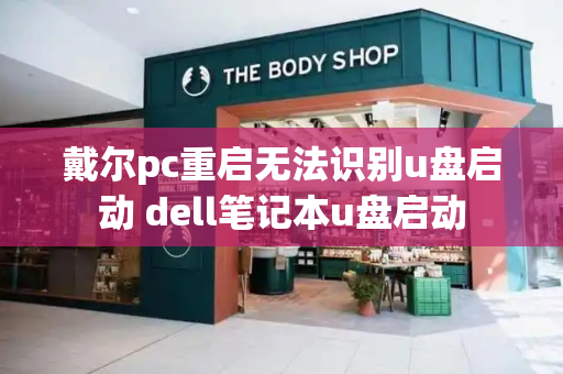 戴尔pc重启无法识别u盘启动 dell笔记本u盘启动