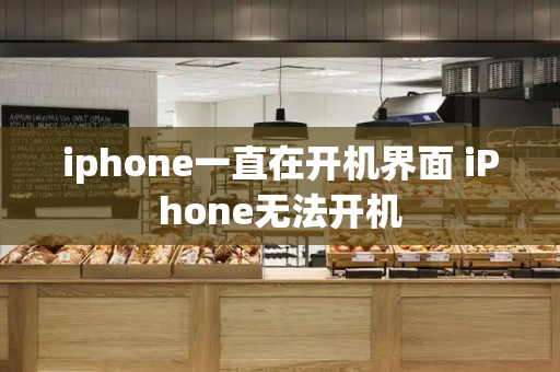 iphone一直在开机界面 iPhone无法开机