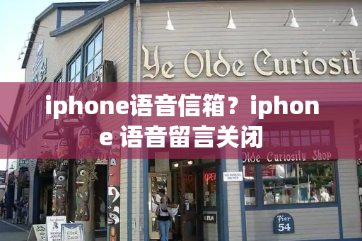 iphone语音信箱？iphone 语音留言关闭-第1张图片-星选测评