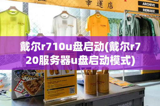 戴尔r710u盘启动(戴尔r720服务器u盘启动模式)-第1张图片-星选测评