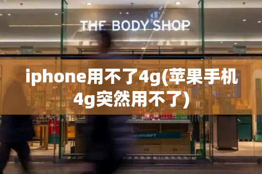 iphone用不了4g(苹果手机4g突然用不了)-第1张图片-星选值得买