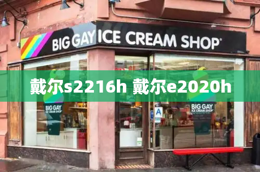 戴尔s2216h 戴尔e2020h-第1张图片-星选测评