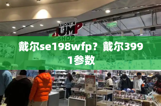 戴尔se198wfp？戴尔3991参数-第1张图片-星选测评