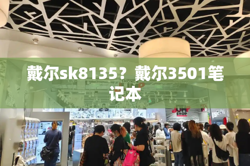 戴尔sk8135？戴尔3501笔记本-第1张图片-星选测评