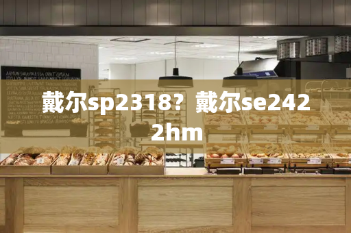 戴尔sp2318？戴尔se2422hm