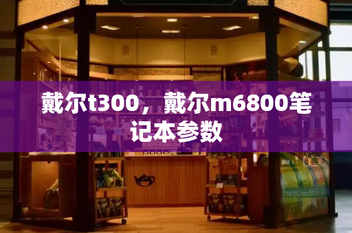 戴尔t300，戴尔m6800笔记本参数-第1张图片-星选测评