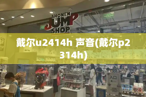 戴尔u2414h 声音(戴尔p2314h)-第1张图片-星选测评