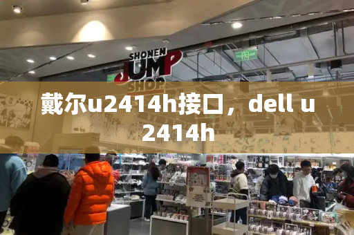 戴尔u2414h接口，dell u2414h