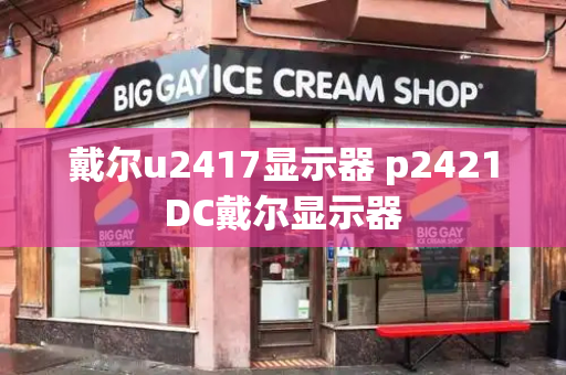 戴尔u2417显示器 p2421DC戴尔显示器