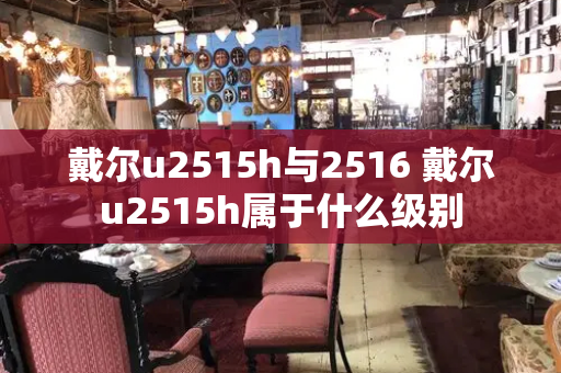 戴尔u2515h与2516 戴尔u2515h属于什么级别