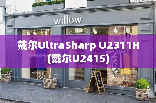 戴尔UltraSharp U2311H(戴尔U2415)-第1张图片-星选测评