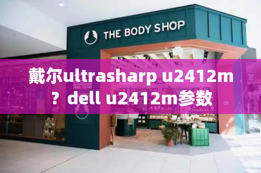 戴尔ultrasharp u2412m？dell u2412m参数