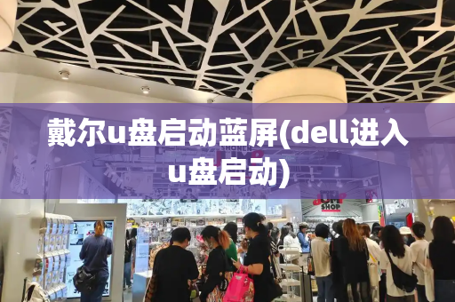 戴尔u盘启动蓝屏(dell进入u盘启动)