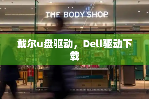 戴尔u盘驱动，Dell驱动下载