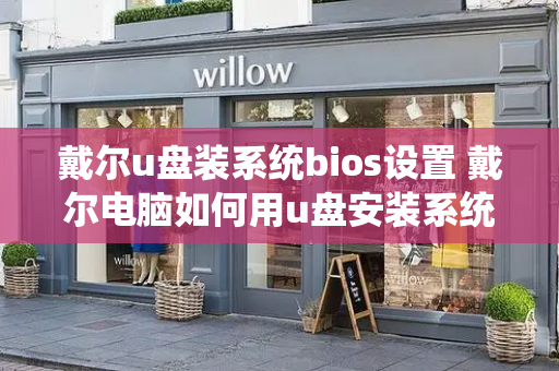 戴尔u盘装系统bios设置 戴尔电脑如何用u盘安装系统-第1张图片-星选测评