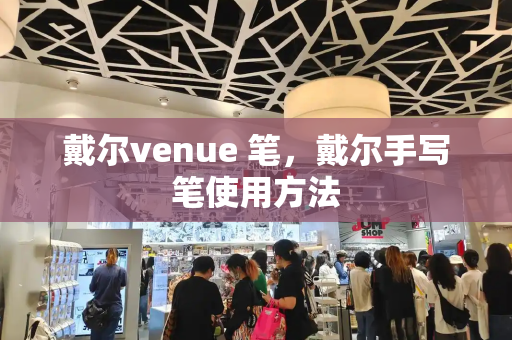 戴尔venue 笔，戴尔手写笔使用方法