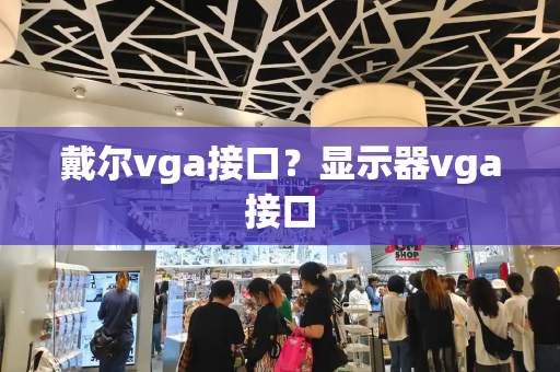 戴尔vga接口？显示器vga接口